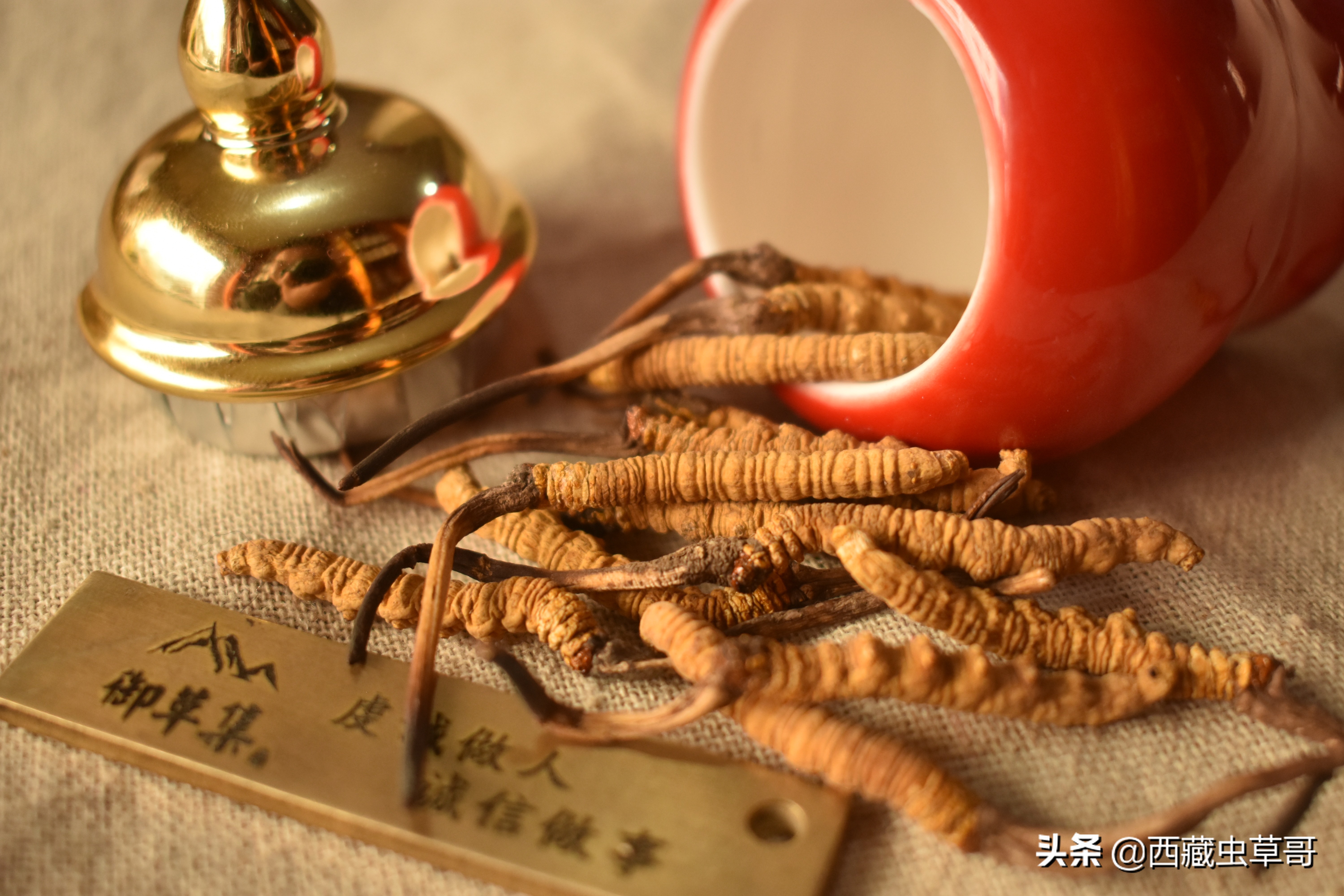 冬虫夏草放冰箱冷冻还是冷藏保存,冬虫夏草放冰箱冷藏还是冷冻