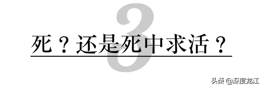 哈尔滨最大的烂尾楼,哈尔滨金帆名居烂尾楼最新进展