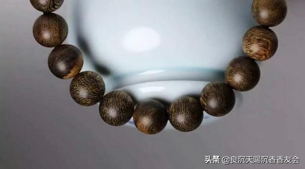 奇楠沉香树种怎么分类,沉香怎么分类图片