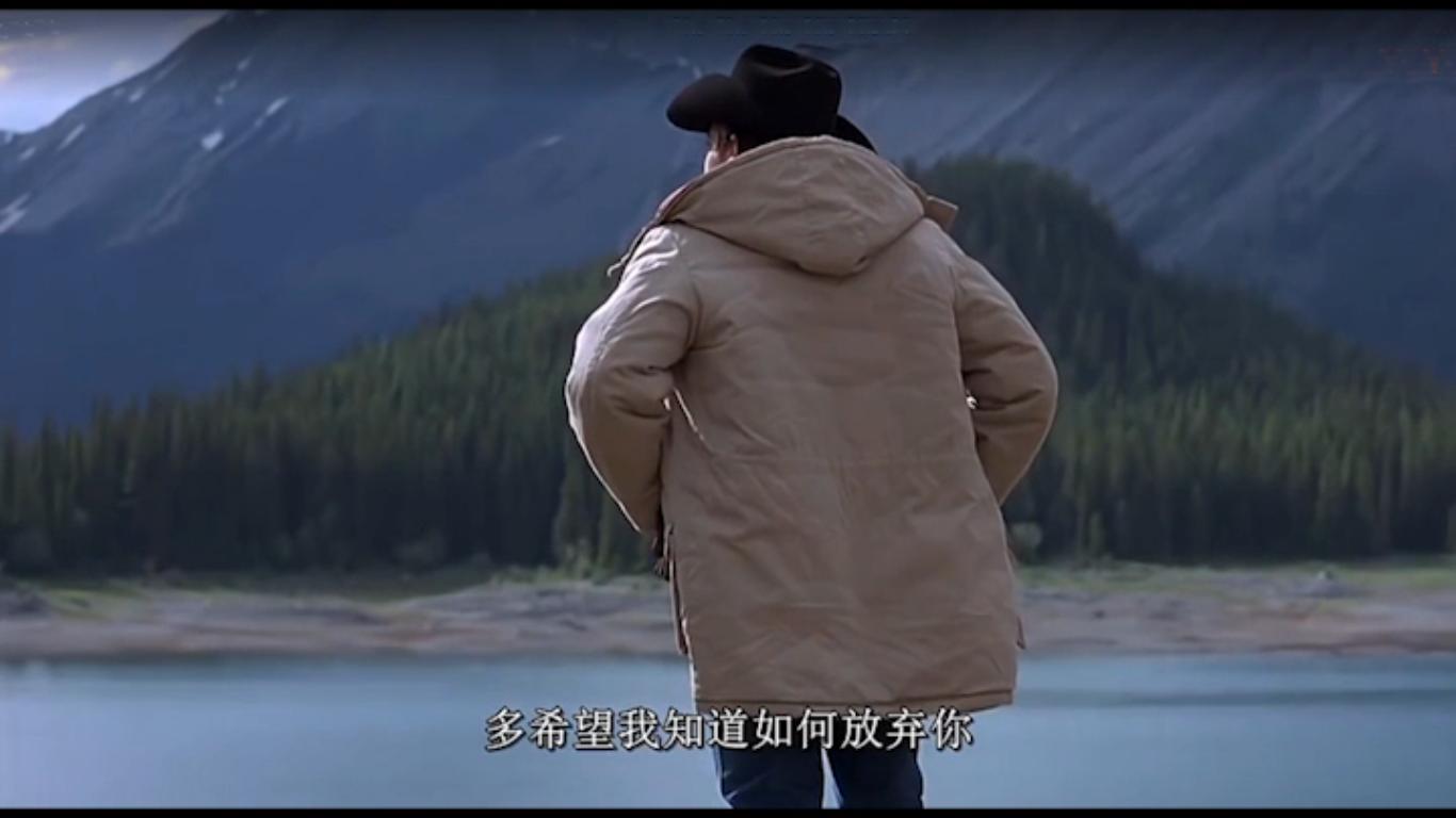 世界上本来就没有真正的爱情,世界上根本就没有永远的爱情