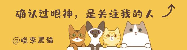 怎样知道你适不适合养猫,怎么判断自己适不适合养猫