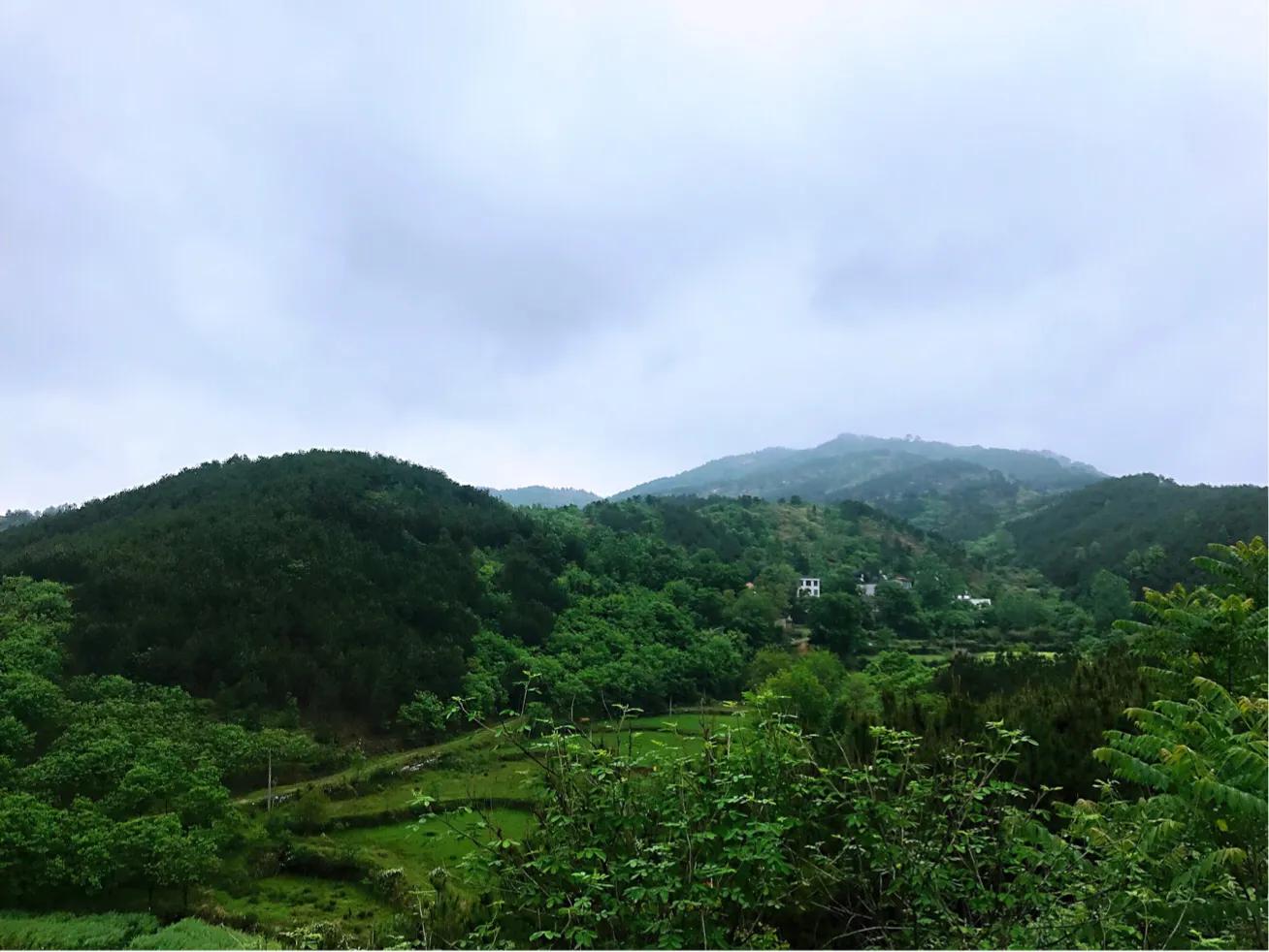 白果云雾山,麻城白果云雾山景区