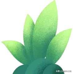 甯曞姵姘存瘝婀栫殑姘存瘝鍙互鎽稿悧,甯曞姵姘存瘝杩樿兘鎶撳悧