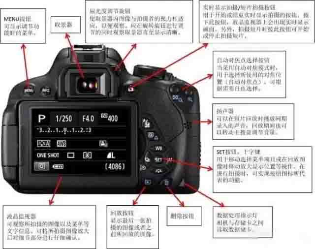 新手入门佳能单反相机推荐,新手入门单反相机如何设置