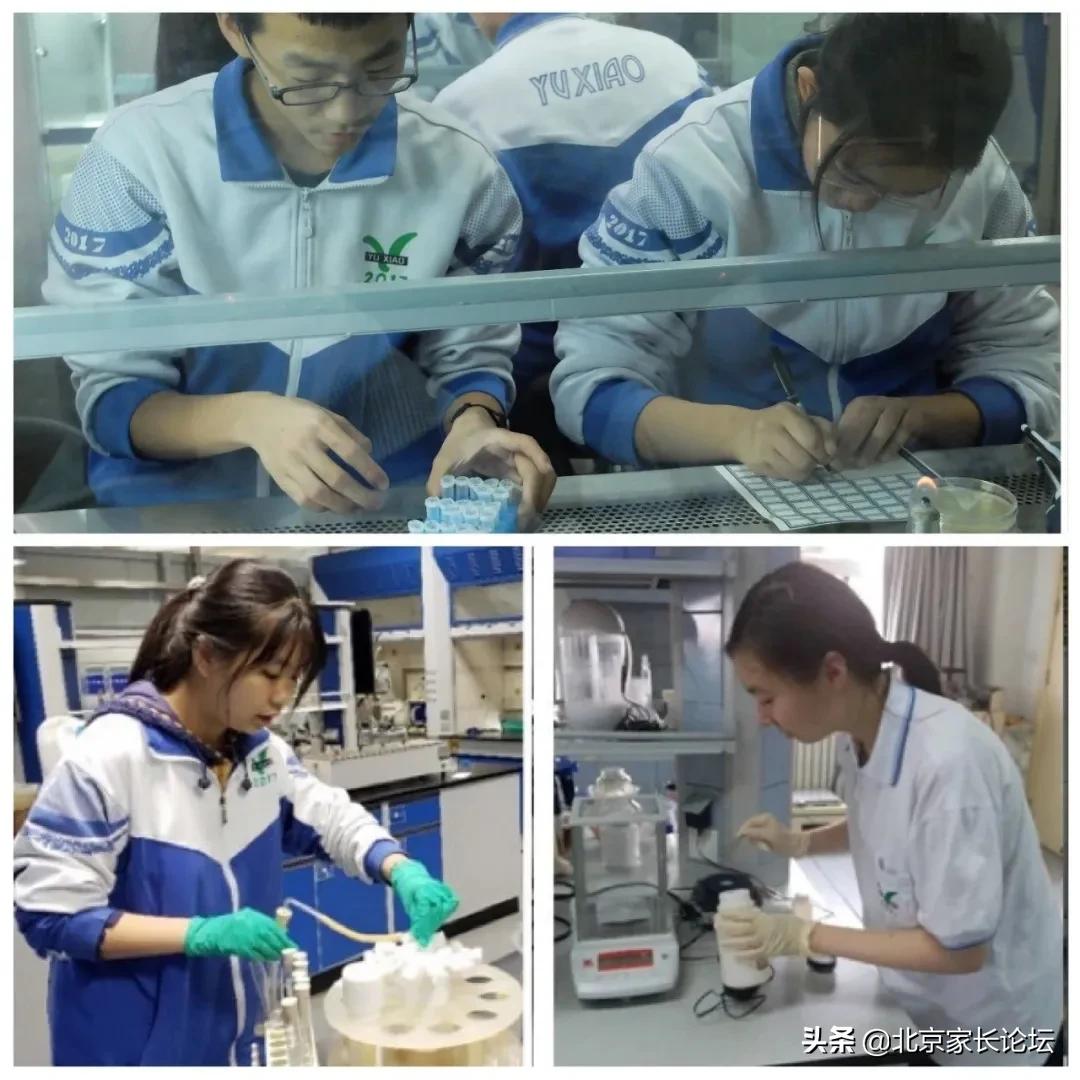 北京市育英学校!这所京城最美师资超强的学校值得您的关注