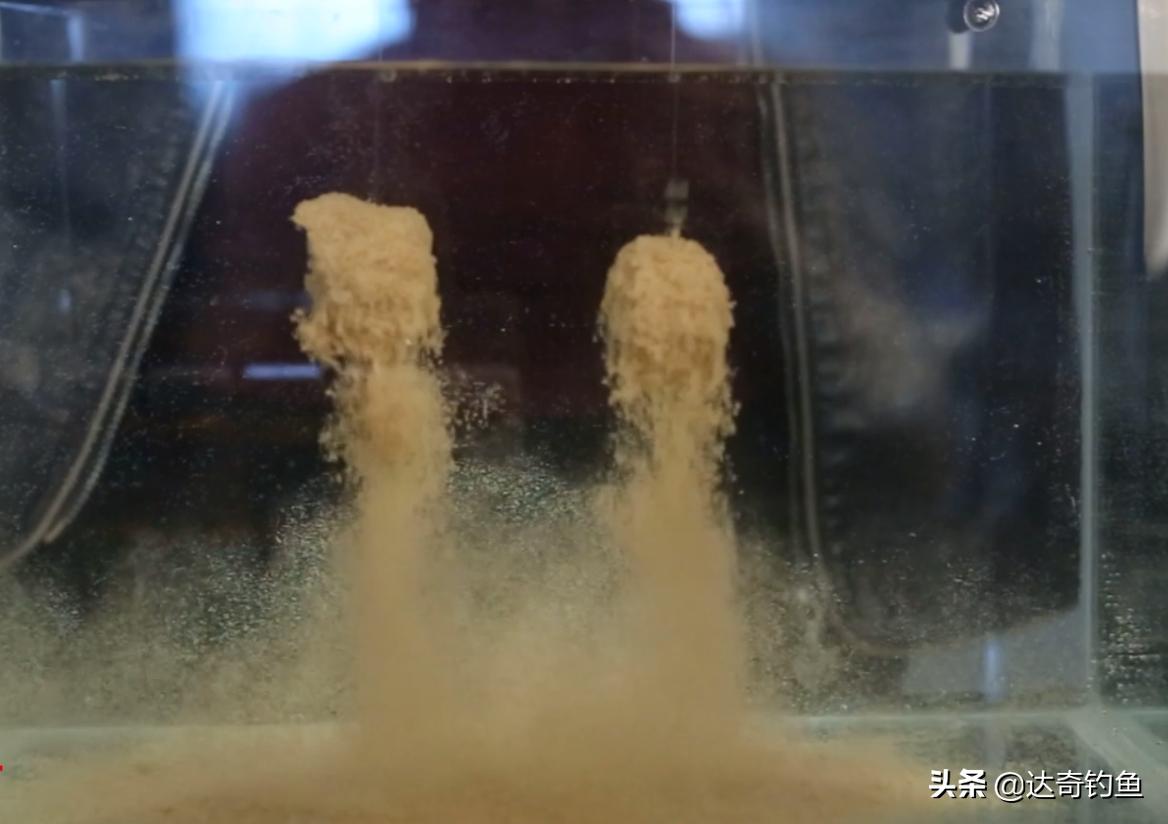 黑坑小黄面专用饵料是什么,小黄面用什么饵料最好