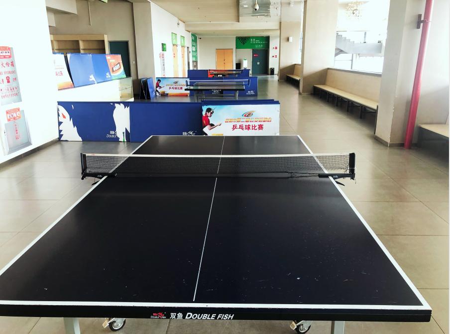 新亚洲体育城都有什么运动,健康体育活动建议