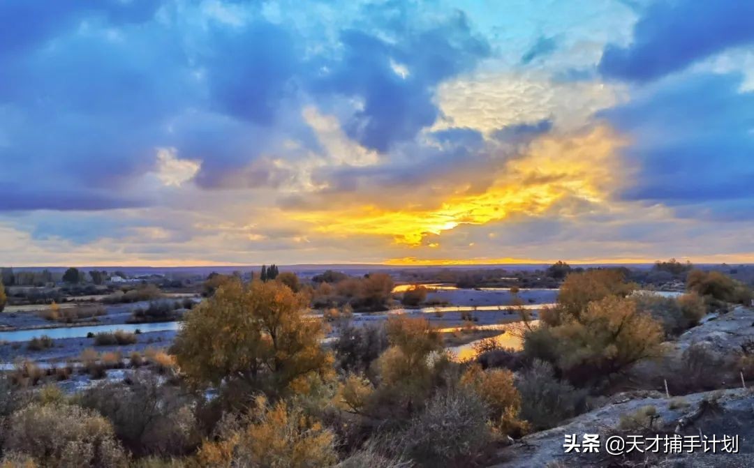 这个工作很带劲儿:94年女孩,三年救了60只猛兽的命