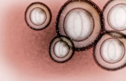 关于试管婴儿，女性必须知道的8个实情，这对成功率有很大的帮助