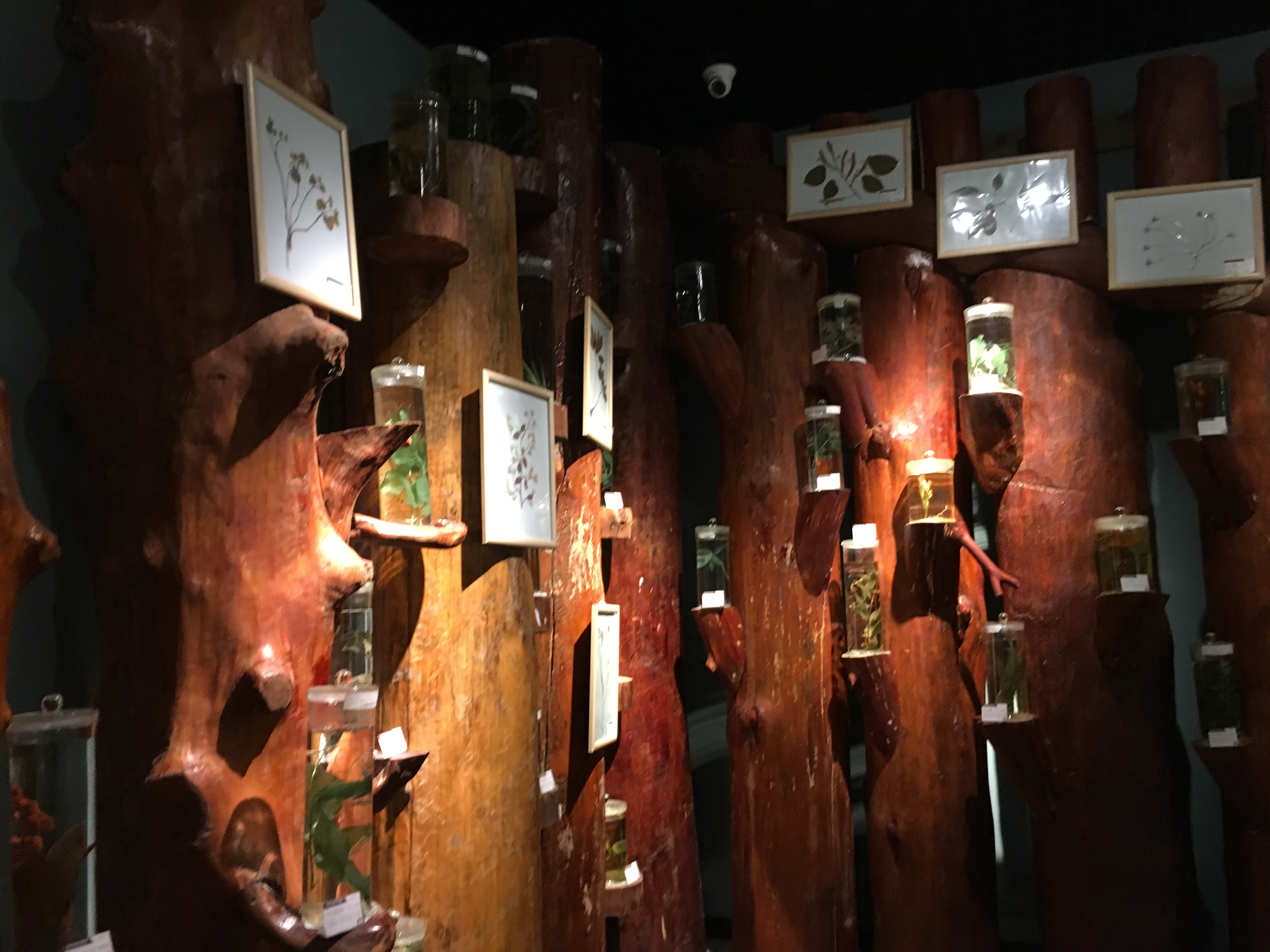 雨中神农架探秘之旅｜国庆节武汉至神农架自驾游攻略分享