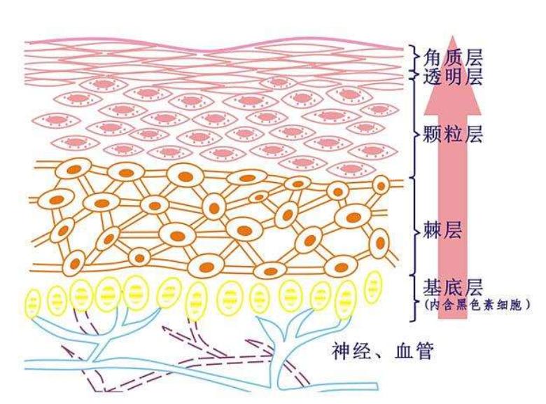 有眼纹了怎么办,30岁有眼袋眼纹很显老的感觉