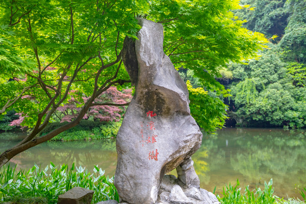 美豪酒店用3年时间,让民国府邸变身野奢酒店,就在西湖内