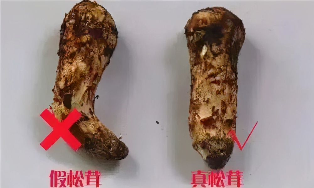 蹇嶄笉浣忔媿缇庨鍙戞湅鍙嬪湀,鍑″皵璧涚編椋熷