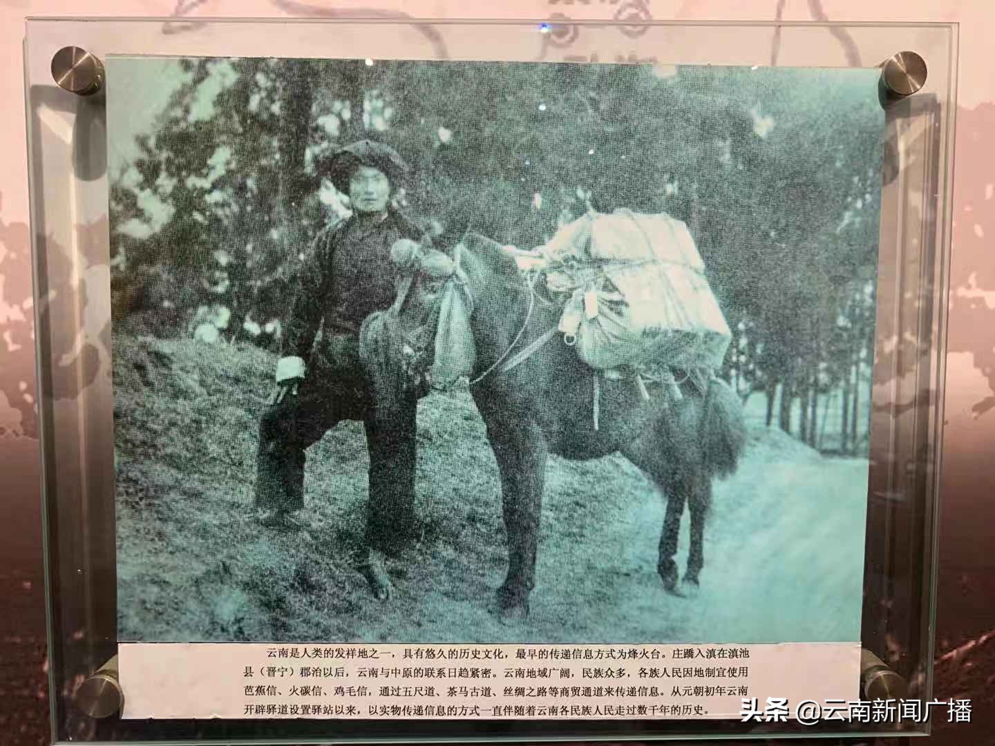 中国云南电信高端客户,中国电信云南电信