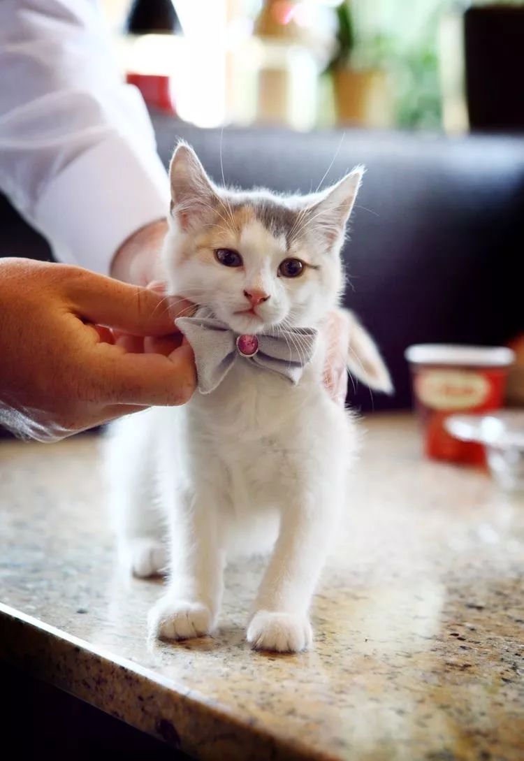 婚礼风格怎么才能独一无二,婚礼细节怎么设计避免泪目