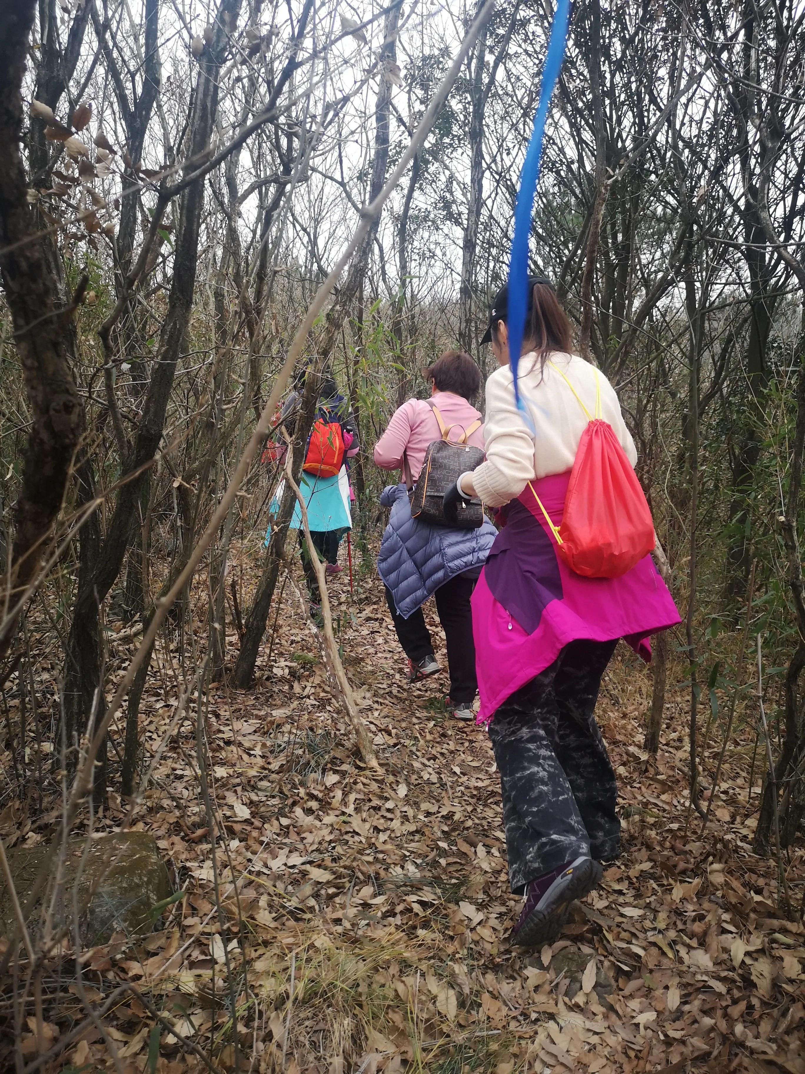 溧阳南山竹海小鸟天堂,宜兴南山竹海和溧阳南山竹海