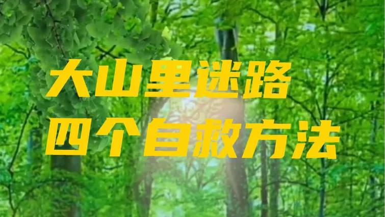 在大山深处迷路了,在大山里迷路了报警怎么给警察说