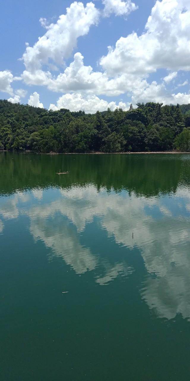 九州文学南京诗社作品,九州文学社作品