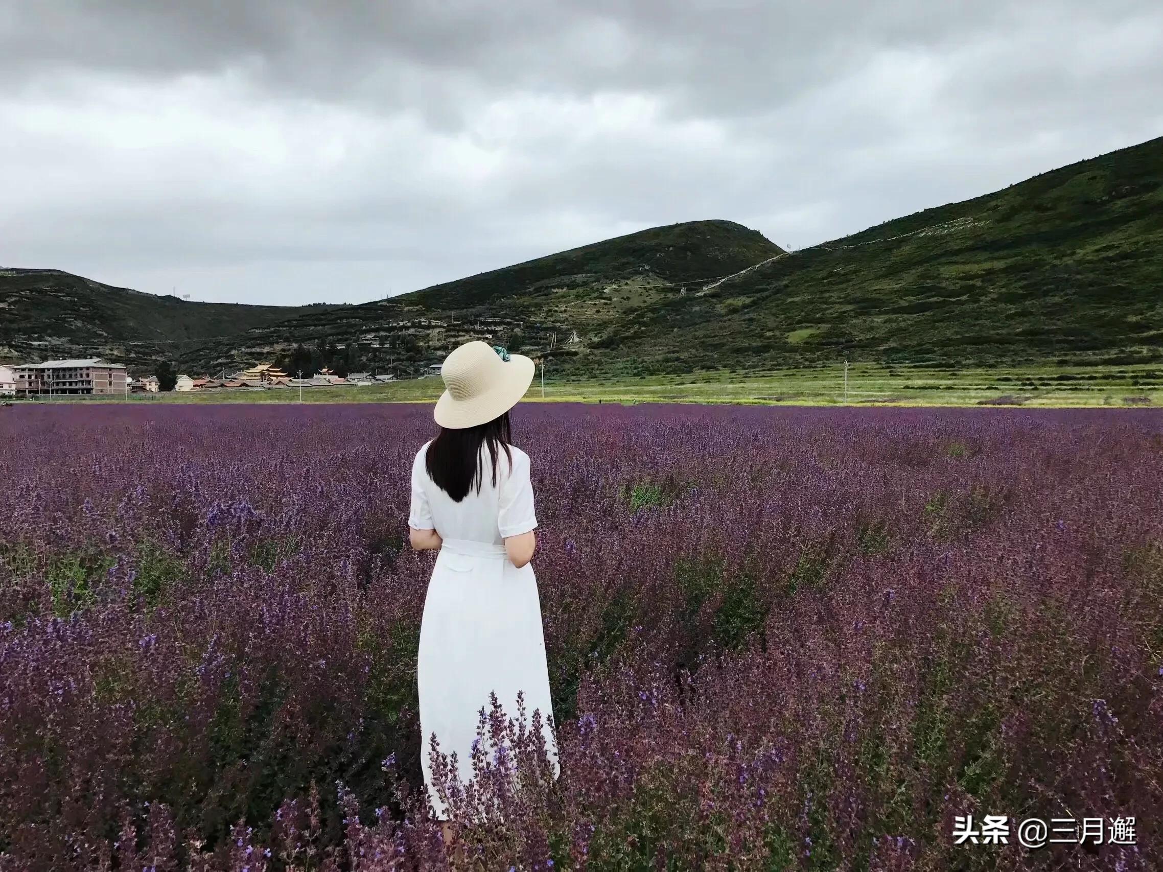 美丽松潘历史文化,美丽松潘简谱