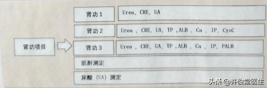 生化免疫检验报告单解读,生化检验正常值与临床意义