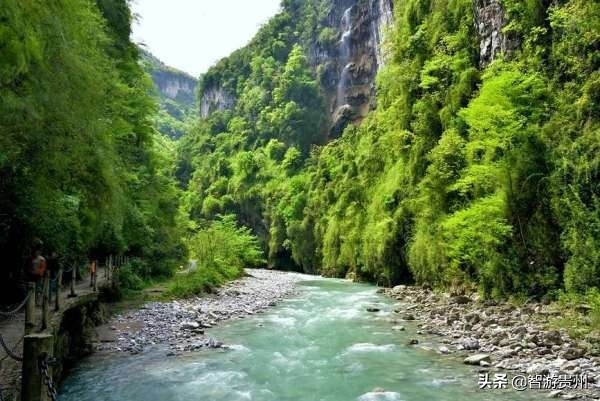 桐梓黔北花海游玩攻略,桐梓旅游黔北花海