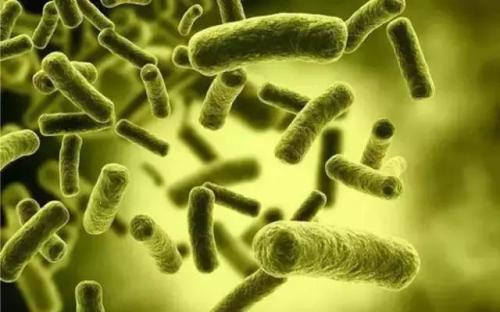 手撕皮留下疤痕怎么祛疤,撕死皮然后皮肤受损怎么办