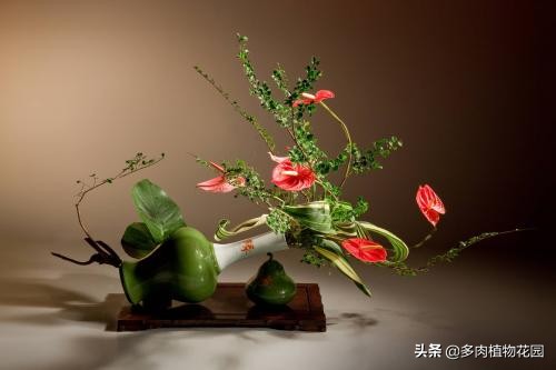 瓶式插花的注意事项,插花10分钟搞定几款气质的插花