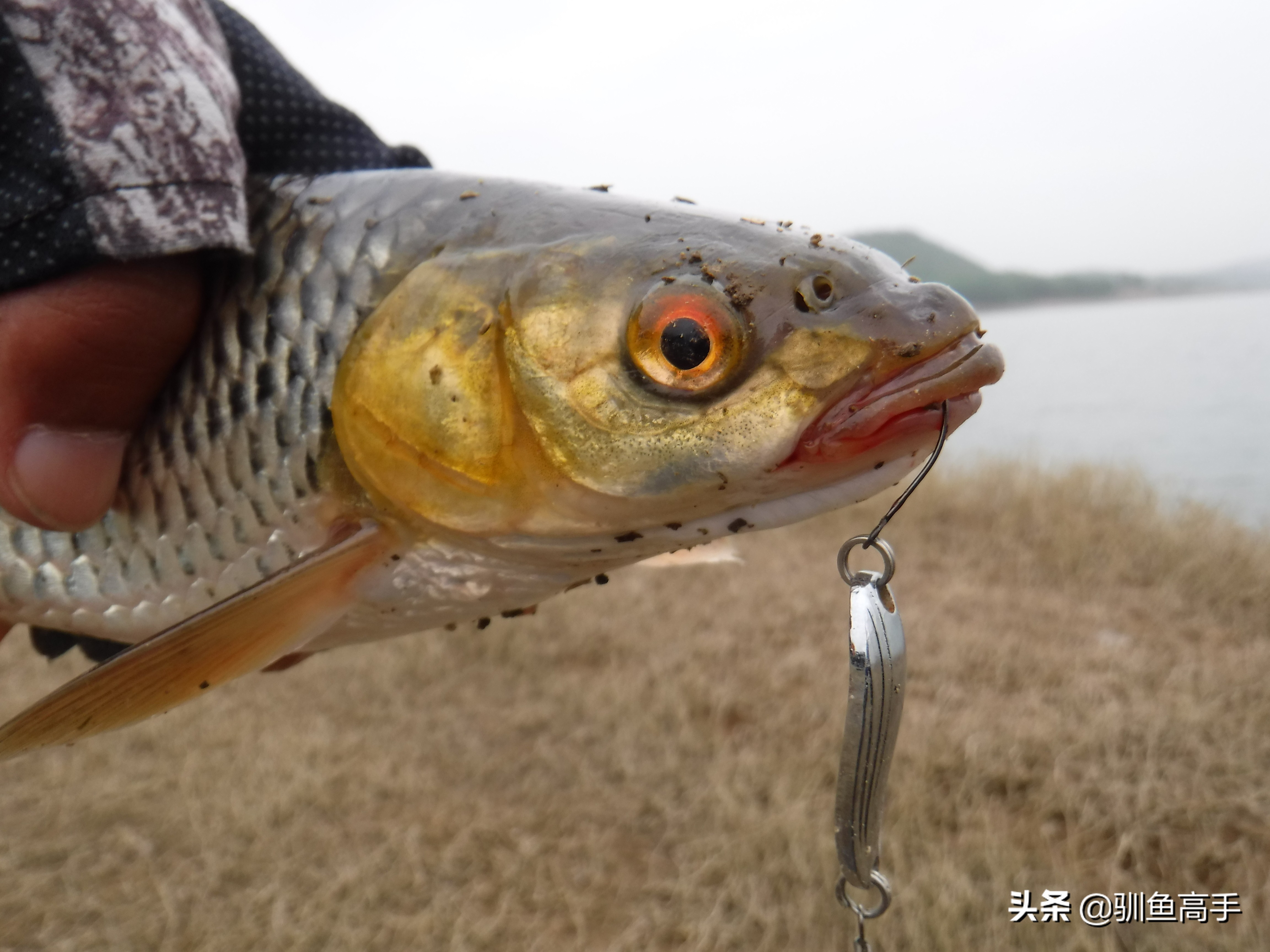 3月份浅水路亚,百闻不如一见美景视频