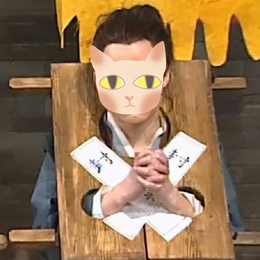 给猫戴上脖圈之后很低落,为什么给猫戴上猫圈就安静了