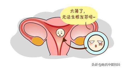 子宫内膜薄卵子长得慢,子宫内膜薄排卵少能治疗好吗
