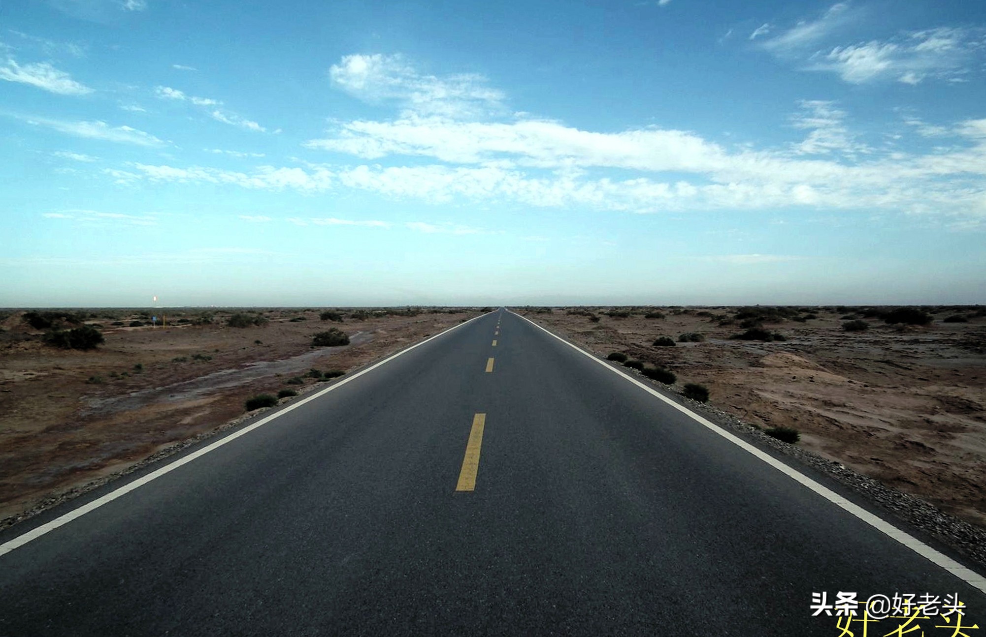 库尔勒轮台胡杨林风景区,胡杨林景区轮台