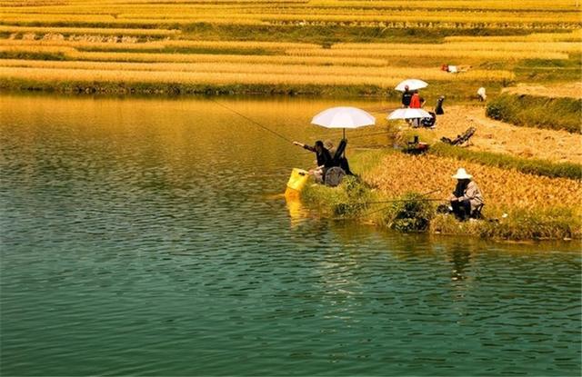 摇三摇避小杂鱼原理,摇三摇避杂鱼水下视频