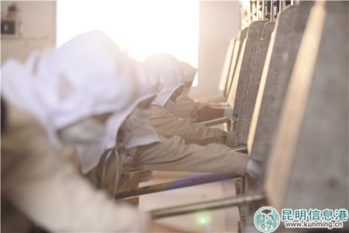 云南龙润茶是什么档次茶,龙润茶云南