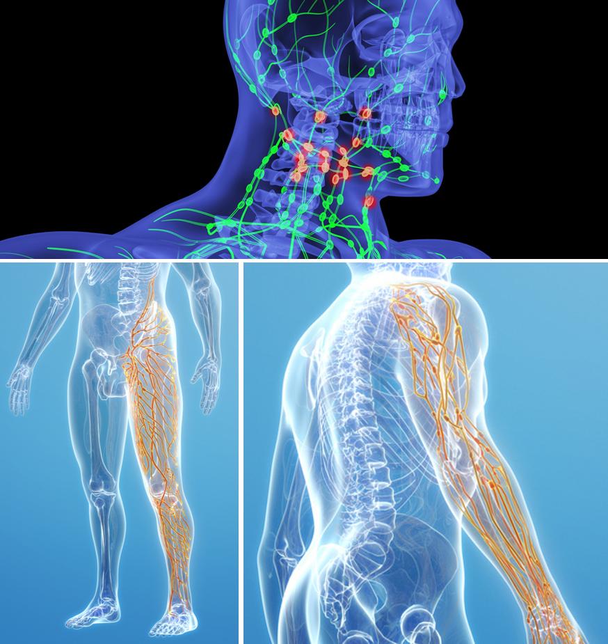 摸到淋巴结会有什么后果,淋巴结肿大如何自我判断