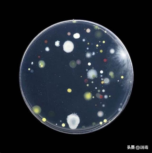 食品菌落总数超标的解决办法,食品企业大肠杆菌超标处罚