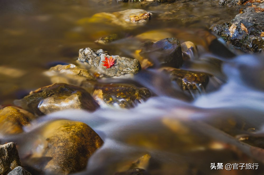 中华枫叶之路自驾游攻略,中华枫叶大道自驾游路线