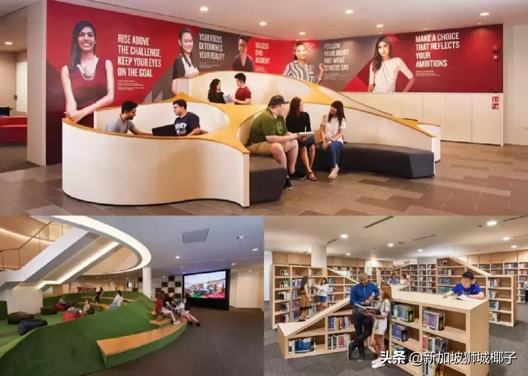 高薪!一部中国热播偶像剧,让新加坡这个专业彻底火了