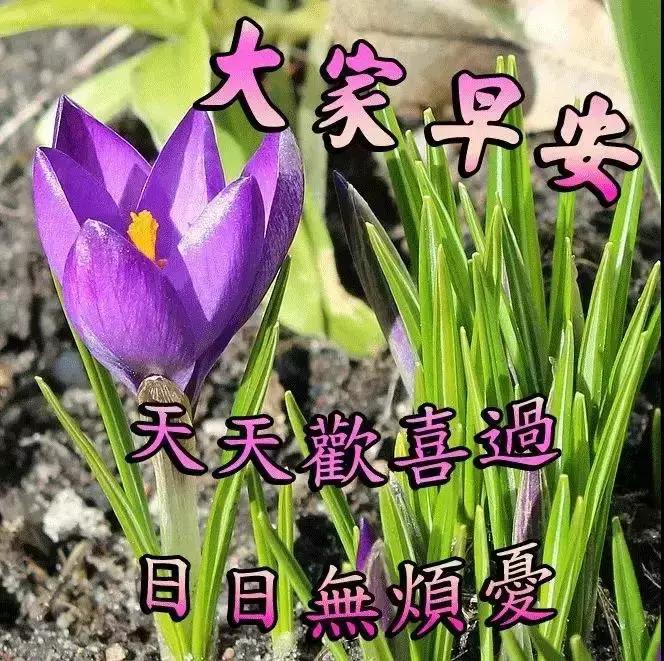 早上问候知己安心话语,早安问候语经典一句话