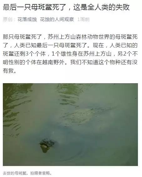 给孩子的自然故事绘本,讲给孩子的自然科普绘本