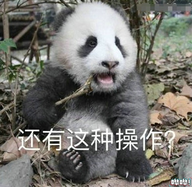 育碧做的最牛的游戏,育碧最招牌的游戏是什么