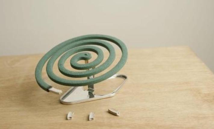 多肉是香饽饽？天热容易遭虫咬，学会5招，远离虫灾