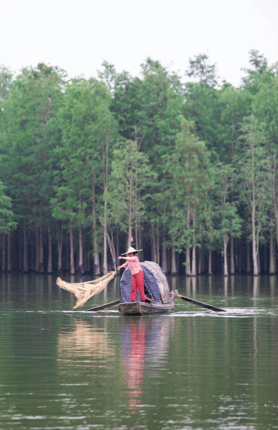 这六个月，仙桃过得怎么样？
