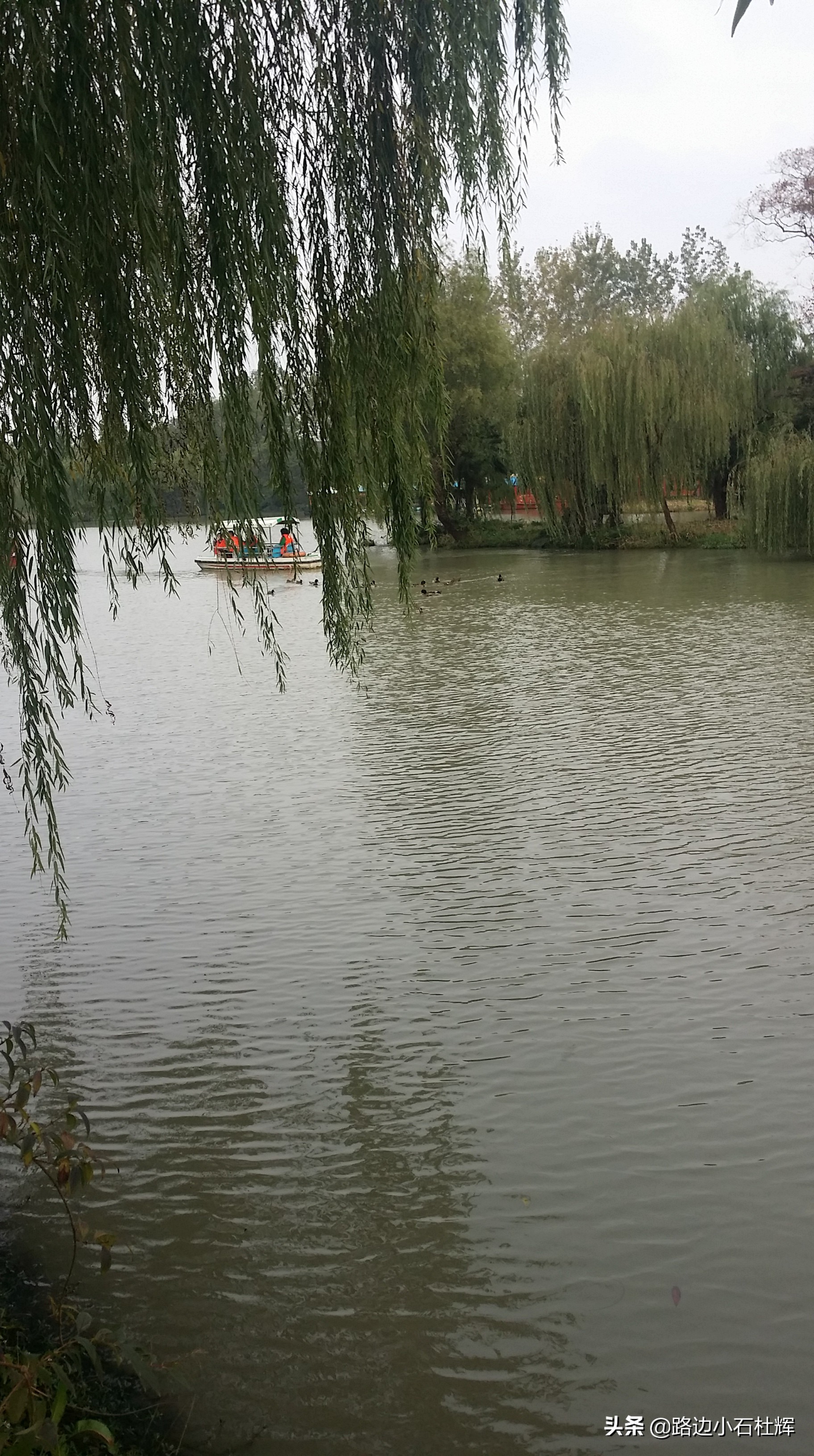 扬州瘦西湖之行,扬州瘦西湖游一圈