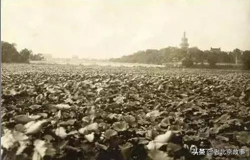 中南海,北京一个神秘的地界儿