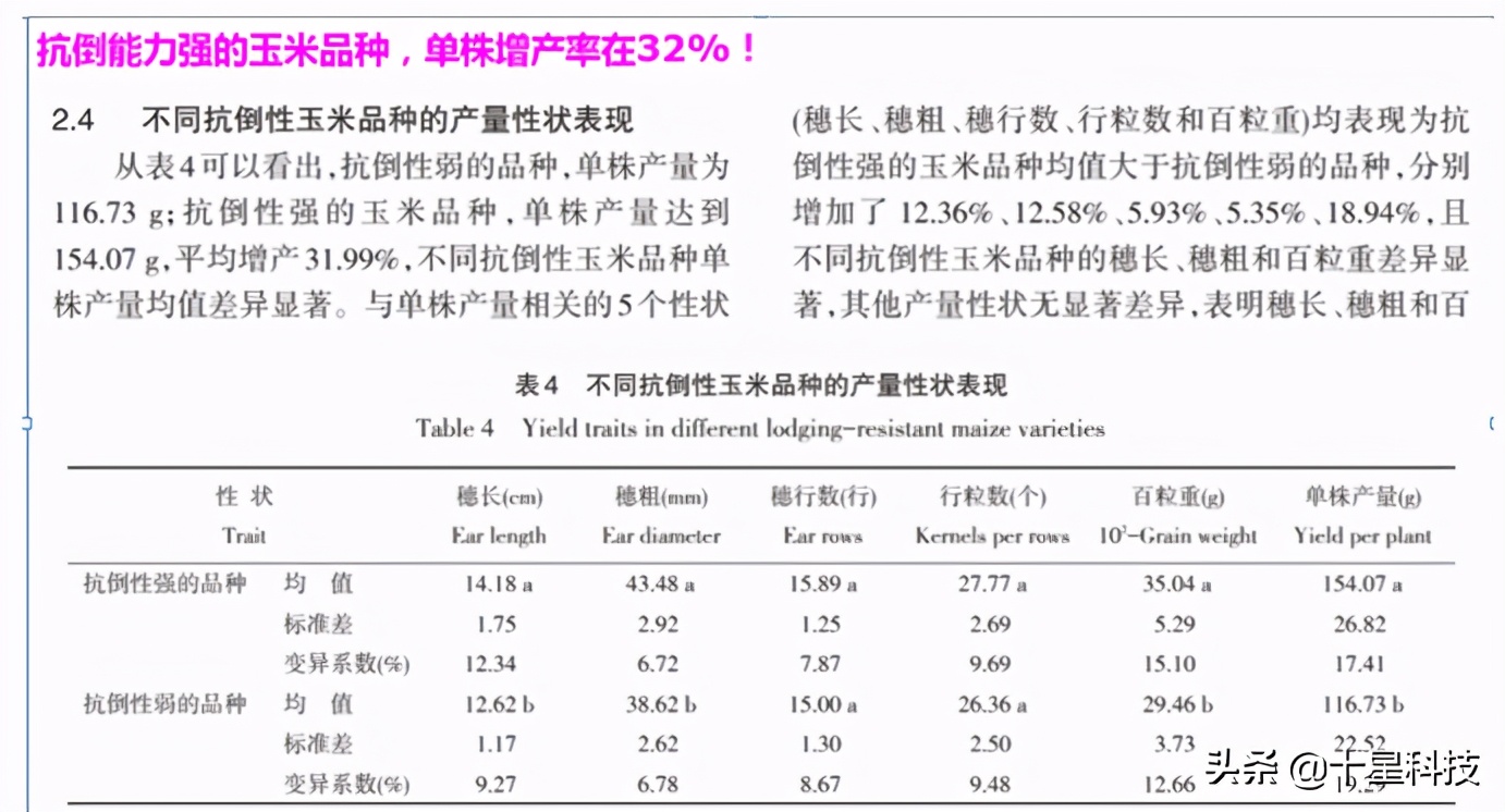 玉米密植高产还是稀植高产,玉米品种稀植品种有哪些