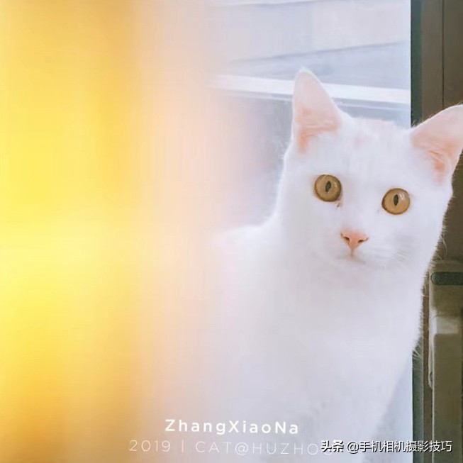 学拍照构图技术,学拍照需要掌握哪些技术