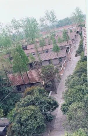 159医院发展历史图,159医院历史