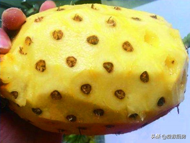 菠萝和凤梨是同一种水果吗,菠萝与凤梨是同一种水果吗