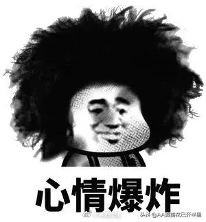 江西中考作文没写鸡怎么办,江西中考语文作文题一只鸡