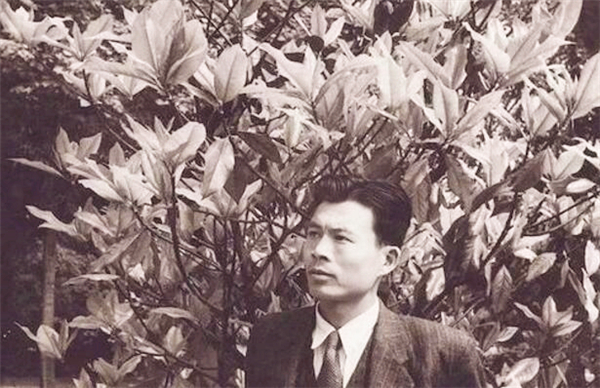 吴冠中卖了146亿画,专家说吴冠中